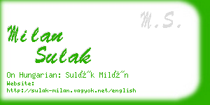 milan sulak business card